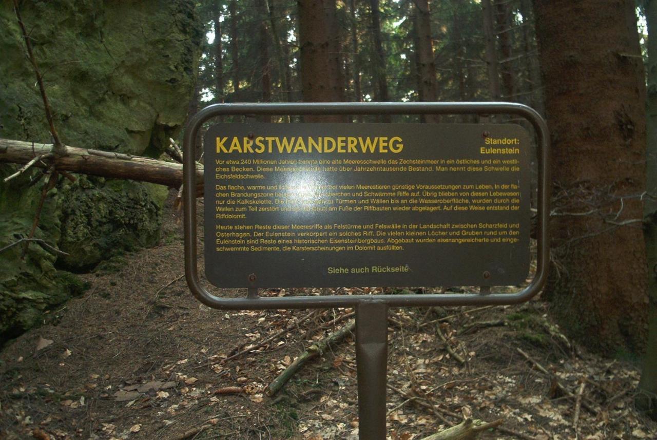 Ferienwohnungen Stricker Harz Walkenried Ngoại thất bức ảnh